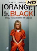 Orange Is the New Black Temporada 5 [720p]